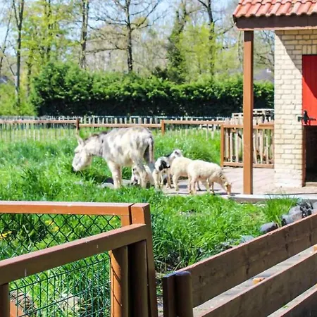 Tof Wellness Huis, Alles Nieuw, Gelegen Bij Meer. 度假居