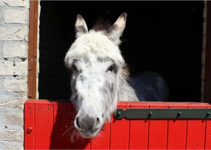 Semesterbostad Tof Wellness Huis, Alles Nieuw, Gelegen Bij Meer. Ewijk